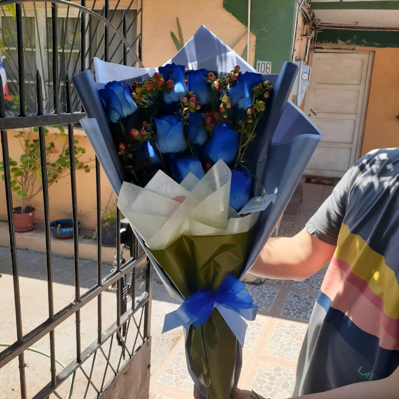 Ramo de Rosas Azules - Ramo extendido con 12 rosas azules e hypericum rojo