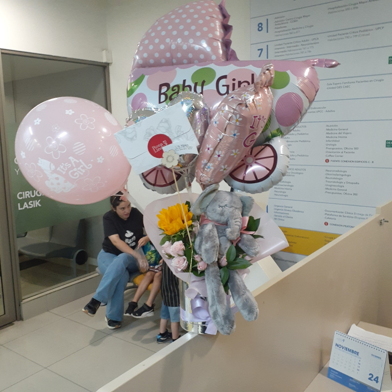 Mix de globos: Alegre llegada Baby Girl